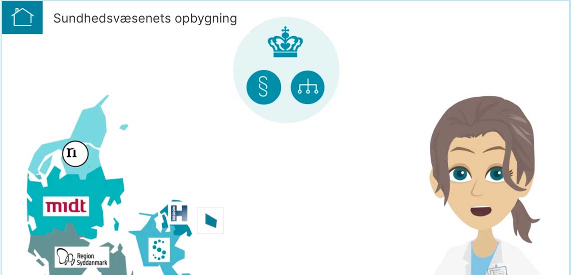 Sundhedsvæsents opbygning